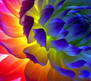 FB_IMG_1429649783751